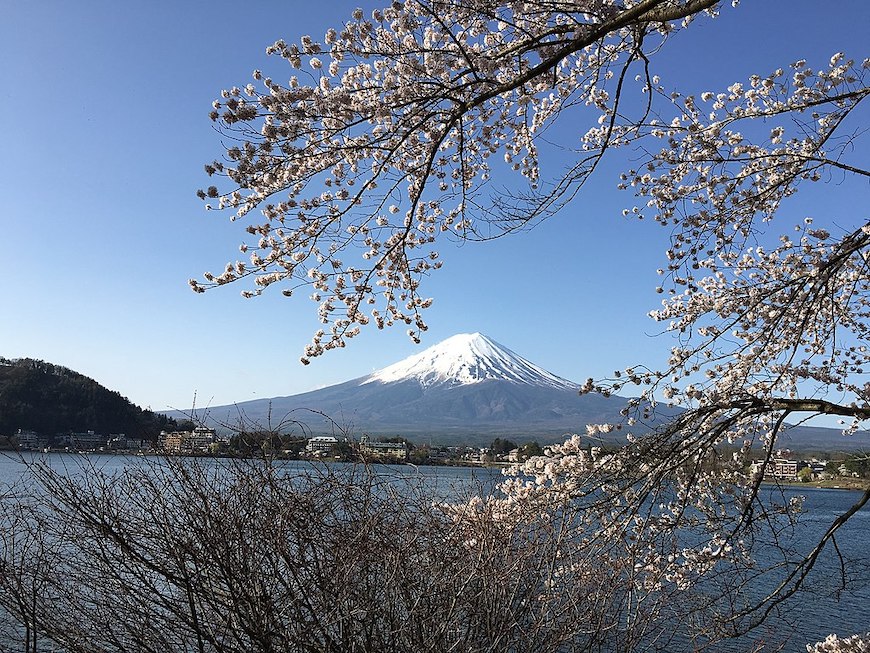 産屋ヶ崎（河口湖大橋）を渡った対岸からの富士山の眺めです。1024px-Mount_Fuji_and_cherry_blossoms_from_Ubuyagasaki,_Lake_Kawaguchi_on_April_15,_2016