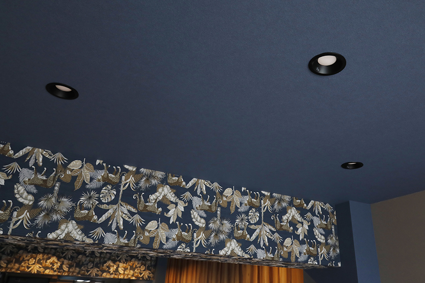 レジデンス西味鋺｜1A号室｜天井のライティングの縁は黒枠で統一されていて、雰囲気を邪魔しません_MG_1074